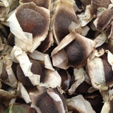 Moringa