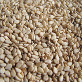 Ajonjolí