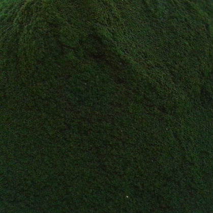Spirulina En Polvo Orgánico