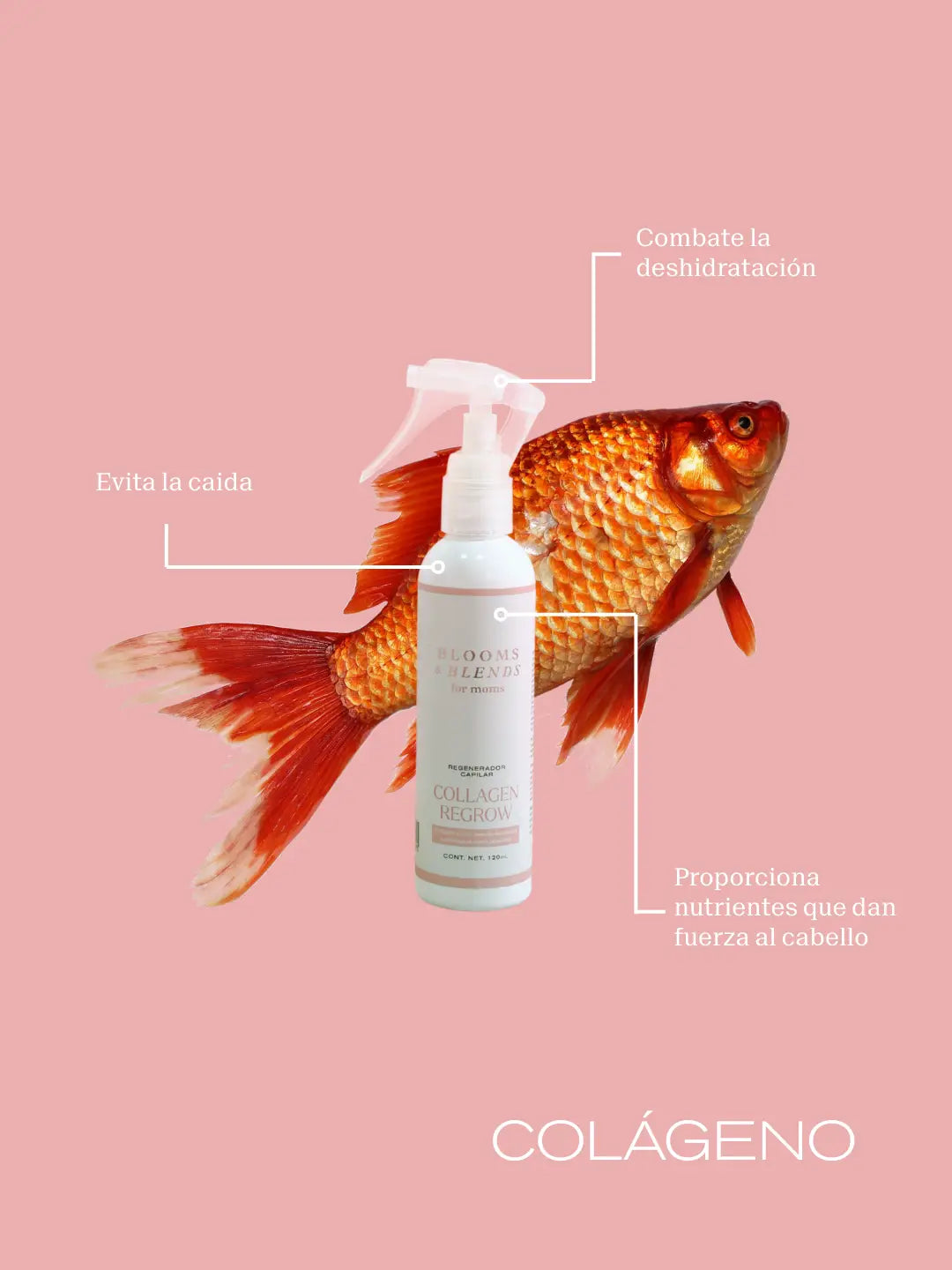 Collagen Regrow Blooms and Blends