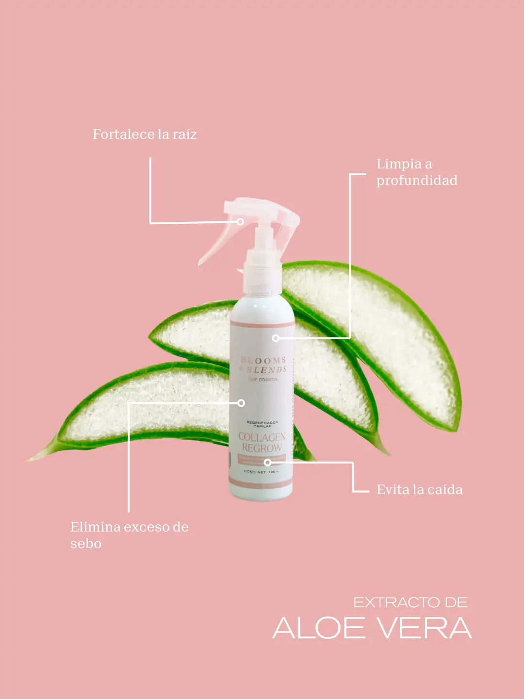 Collagen Regrow Blooms and Blends