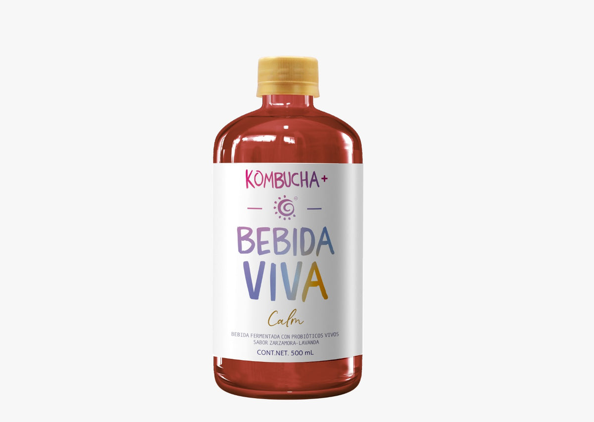 Kombucha Bebida Viva (500 ml)