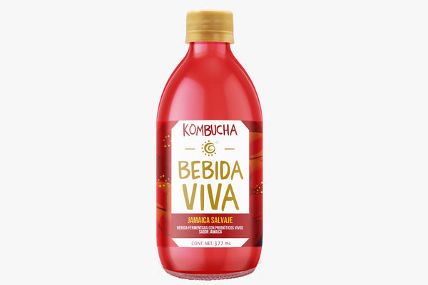 Kombucha Bebida Viva (377 ml)