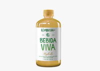 Kombucha Bebida Viva (500 ml)