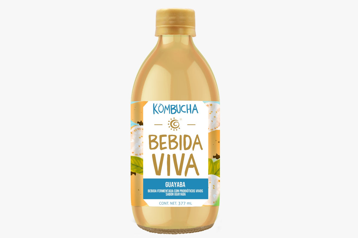 Kombucha Bebida Viva (377 ml)