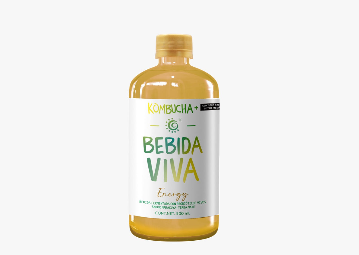 Kombucha Bebida Viva (500 ml)