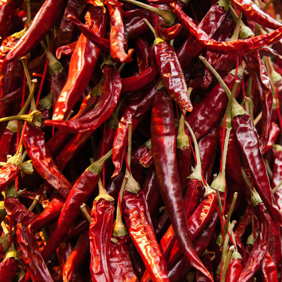 Chile de Arbol