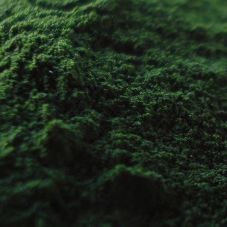 Chlorella en Polvo Orgánico