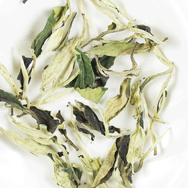 Pai Mu Tan Té Blanco