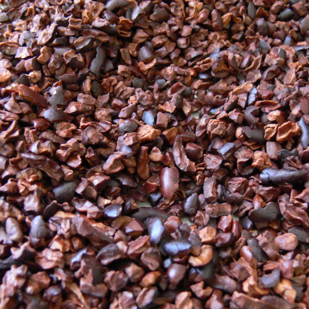 Cacao Nibs Orgánico