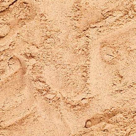 Camu Camu en Polvo Orgánico