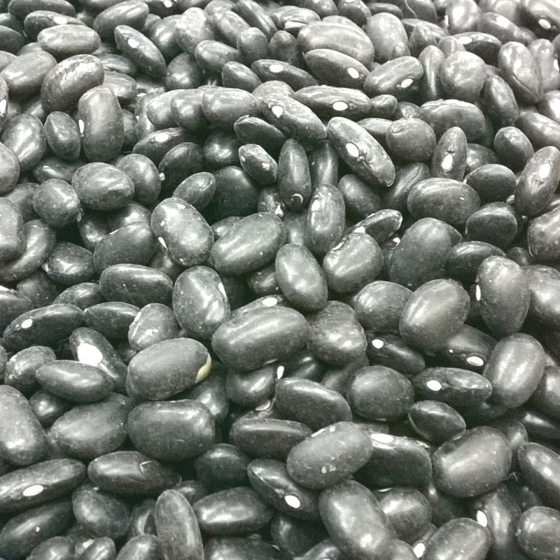 Frijol Negro de Veracruz