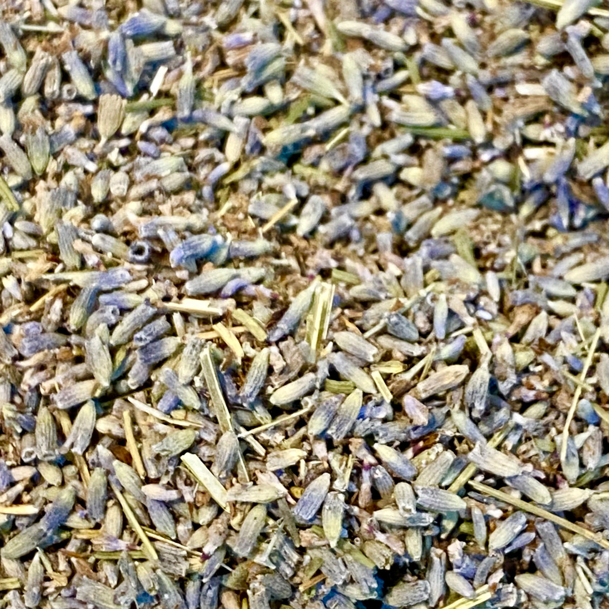 Lavanda Aromática