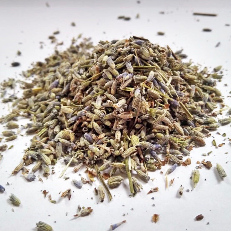 Lavanda Silvestre sin Aroma