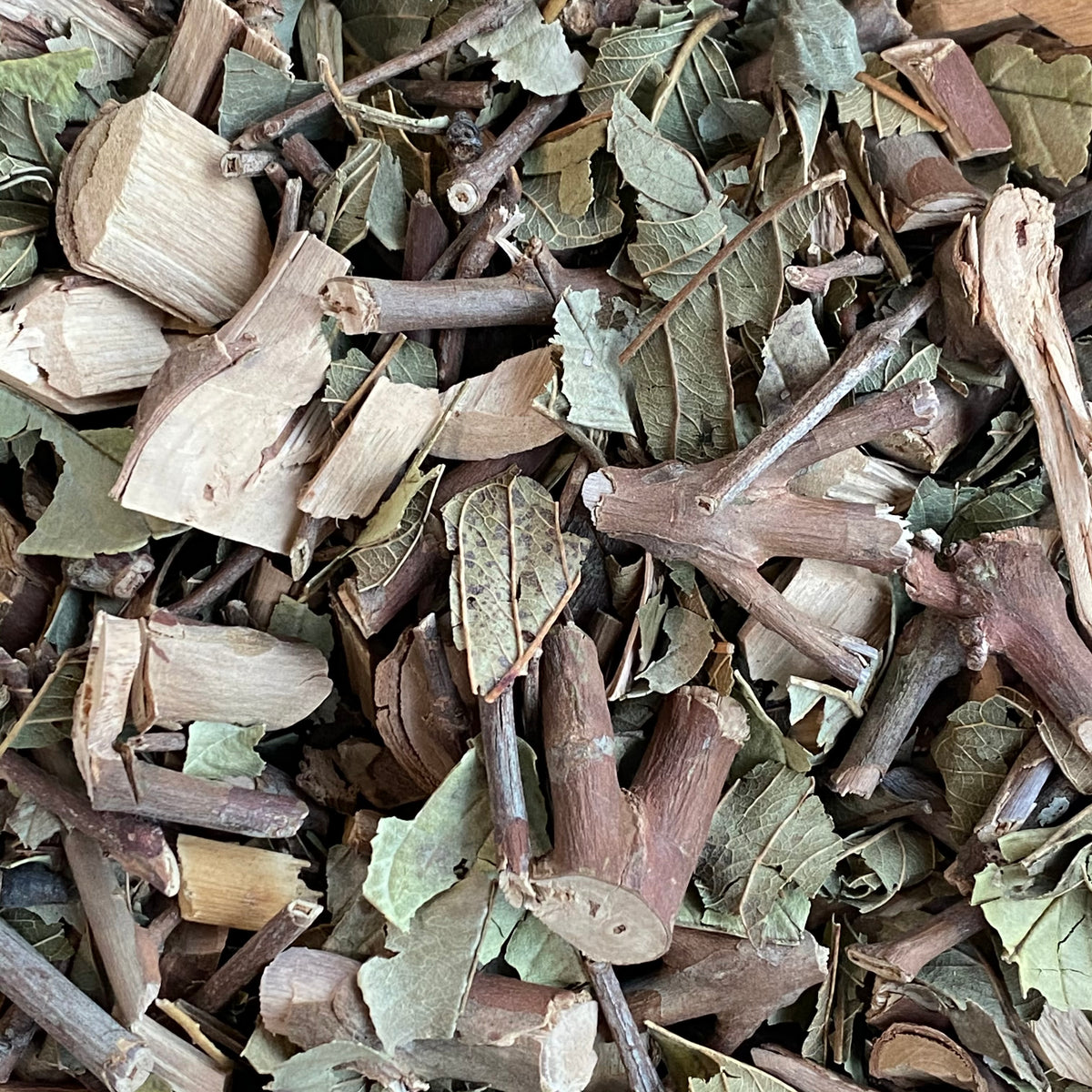 Hojas y ramas de Guayaba