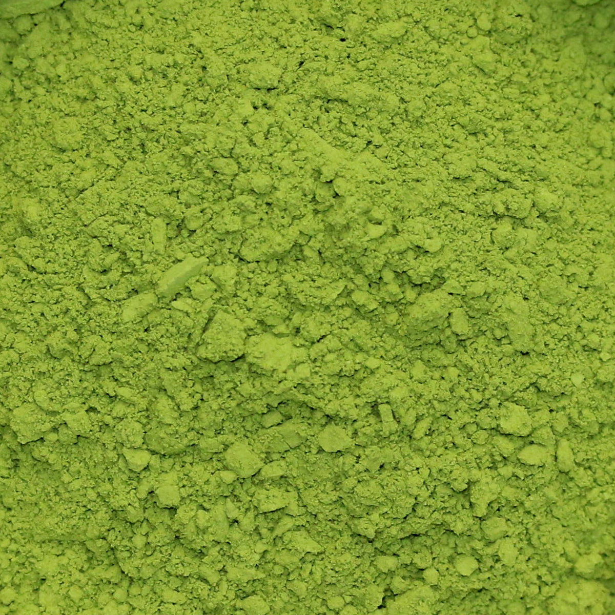 Té Matcha en Polvo Orgánico