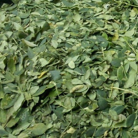 Moringa