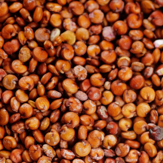 Quinoa Orgánica