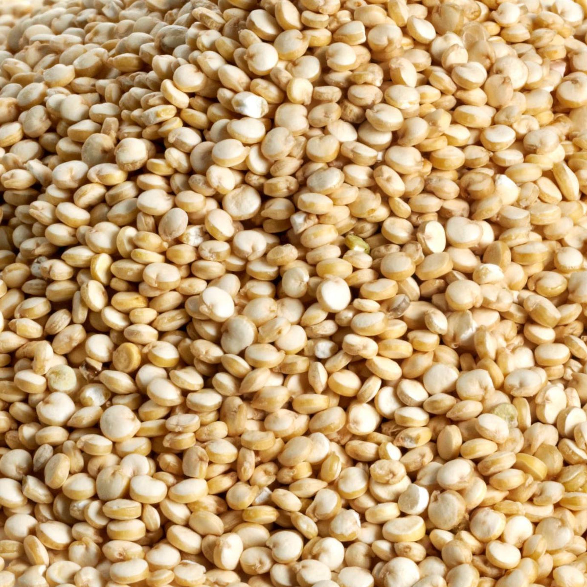 Quinoa