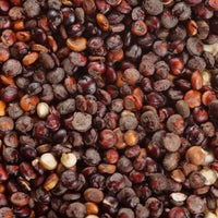 Quinoa Orgánica